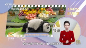 讲述同一世界观全新故事 6 马律师回归！